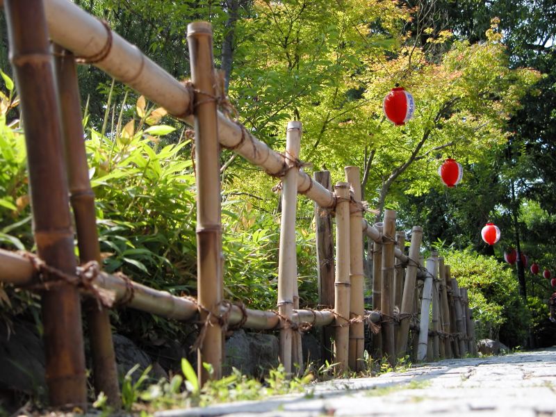 Decorative Bamboo Fence
