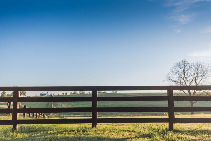 Pasture Fence Repair